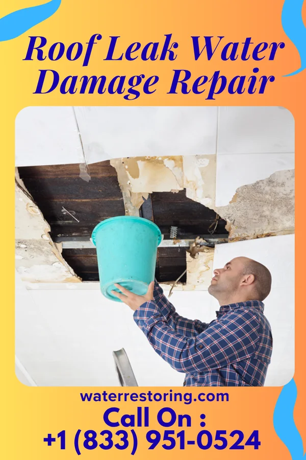 Roof Leak Water Damage Repair in Mason City, IA