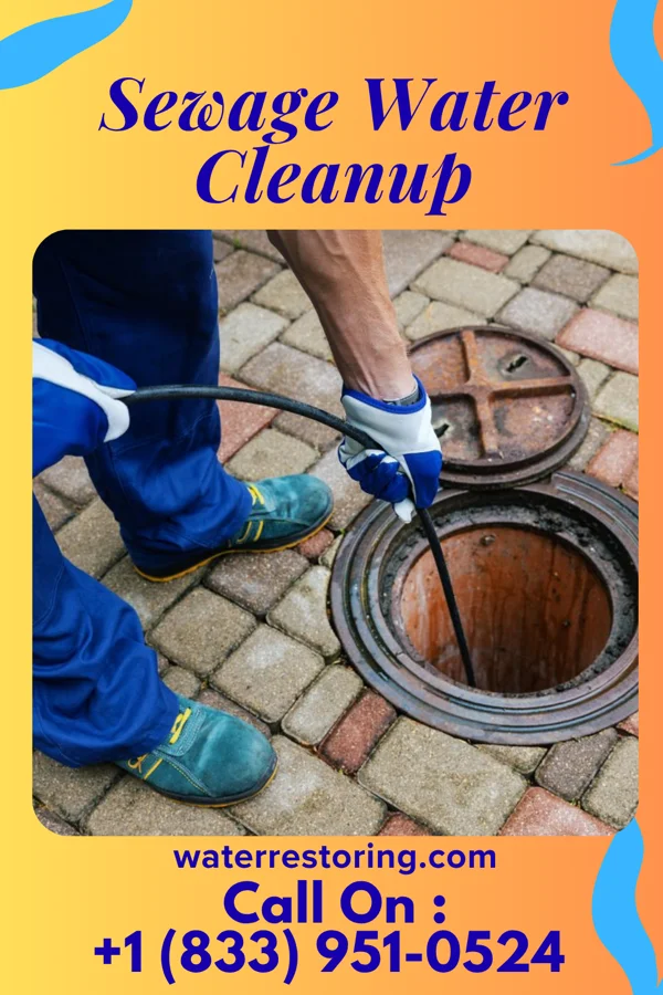 Sewage Water Cleanup in Mason City, IA